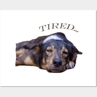 my dog is tired Posters and Art